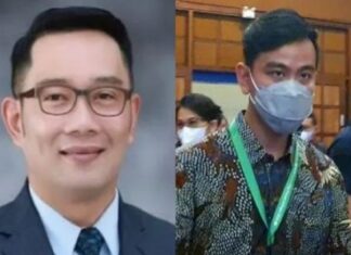 rocky gerung gibran rakabuming
