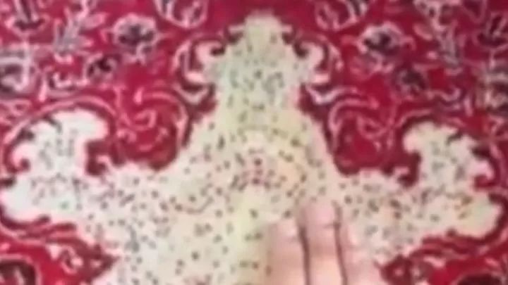wanita berhenti shalat
