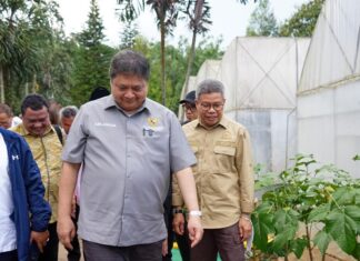 Kelola Lingkungan Secara Baik, Taufan Pawe Beri Apresiasi PT Vale Indonesia