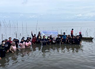 Buktikan Rasa Cinta Lingkungan, Srikandi Ganjar Sulsel Ajak Warga Tanam 500 Bibit Mangrove