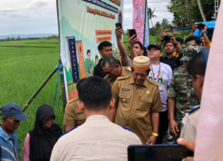 Kantor Pertanahan Pasang 2.000 Patok Batas Bidang Tanah di Soppeng
