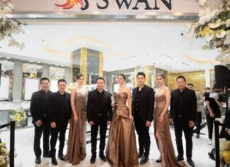 swan jewellery