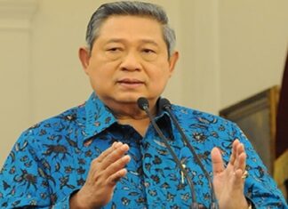 pdip sby