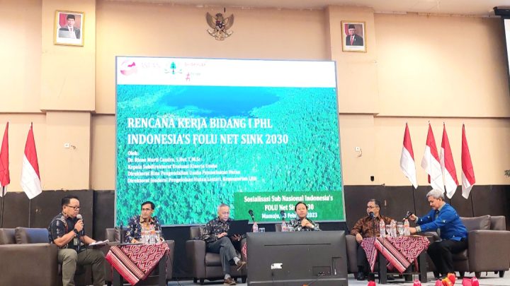 Indonesia's FOLU Net Sink 2030: Langkah Nyata Keseriusan Indonesia Turunkan Emisi folu net sink 2030