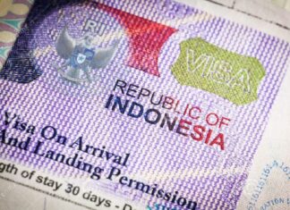 negara free visa