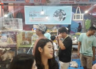 hello pet shop