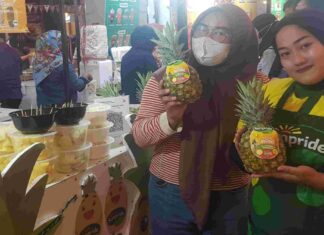 Plaza Buah, Solusi Praktis untuk Dapatkan Buah Segar Berkualitas