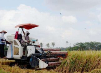 Melalui Intervensi Mekanisasi, Kementan Tingkatkan Produksi Padi Maros