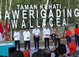 Jokowi Minta Perusahan Lain Tiru Praktik Pertambangan PT Vale di Sorowako
