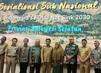 indonesia's folu net sink 2030