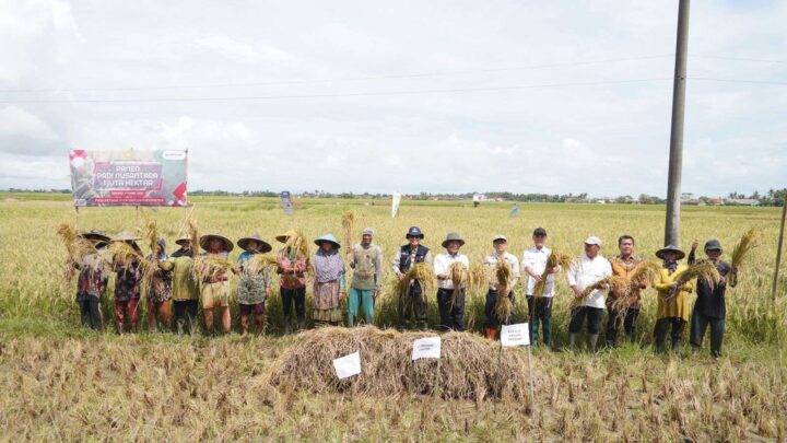 Panen Raya Nusantara Satu Juta Hektare, Kementan Apresiasi Petani Modern Serang Kementan