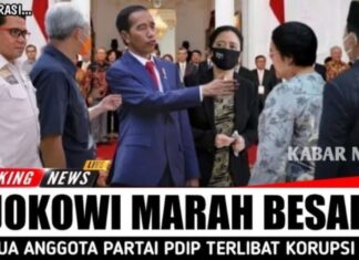 jokowi marah besar