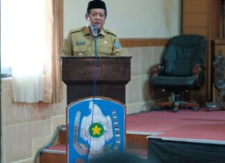 Pemerintah Soppeng Selamatkan 3000 Hekter Sawah