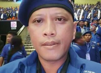 Plt ketua