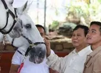 Wali Kota Surakarta, Gibran Tanggapi Isu Jadi Cawapres Dampingi Prabowo Subianto