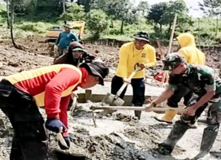 Sinergitas tanpa batas