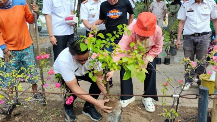 Teduhkan Makassar, Indira Yusuf Ismail Tanam Pohon Tabebuya/Humas Kominfo Makassar indira yusuf ismail
