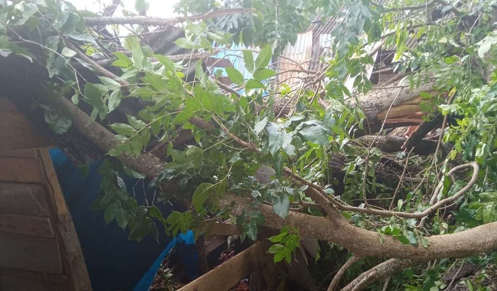 Longsor dan Pohon Tumbang Timpa Rumah Warga di Kecamatan Herlang Bulukumba, Dua Korban Dilarikan ke PKM
