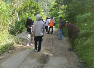 Pemprov Sulsel Mulai Tangani Ruas Jalan Tuppu - Pao - Pamulungan - Batas Tator di Pinrang