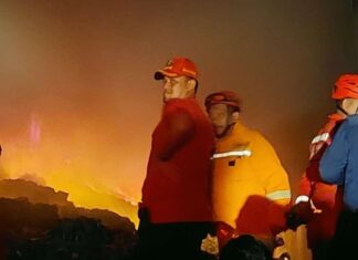 Gudang Penyimpanan Kaleng di KIMA Terbakar