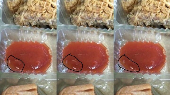 Belatung Ditemukan di Kotak Makanan Anak SD yang Jadi Pagar Betis KTT ASEAN Labuan Bajo ktt asean labuan bajo