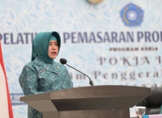 Indira Raih Penghargaan Manggala Karya Kencana, Dinas Koperasi dan UKM Makassar Ucapkan Selamat
