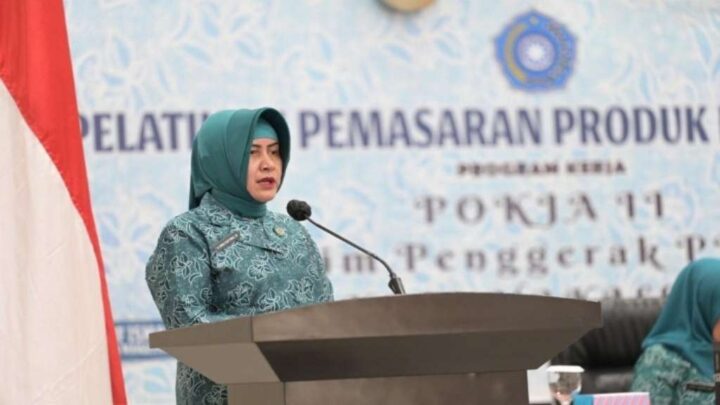 Indira Raih Penghargaan Manggala Karya Kencana, Dinas Koperasi dan UKM Makassar Ucapkan Selamat Pelaku UMKM