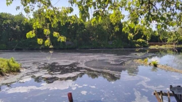 DLH Makassar Telusuri Dugaan Pencemaran Lingkungan di Sungai Tallo dan Parangloe, Tunggu Hasil Lab sungai tallo