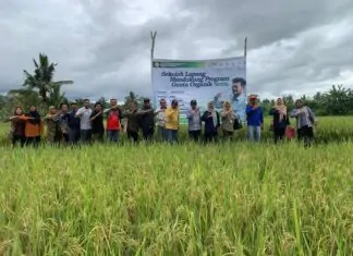 Masifkan Genta Organik, Kementan SL di Sulawesi Tenggara