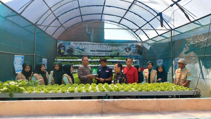 Hari Ini ,112 Mahasiswa Polbangtan Gowa Akhiri Masa 3 Bulan Magang Tugas Akhir di Jawa Timur Magang tugas akhir