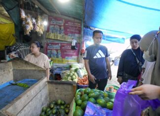 Jalan Pagi Sejauh 4 Km di Malino, Gubernur Sulsel: Mari Budayakan Hidup Sehat