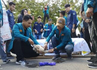 PB HPMT Potong Ayam di Depan Kantor Polisi, Desak Tangkap Penambang Ilegal dan Penimbun BBM