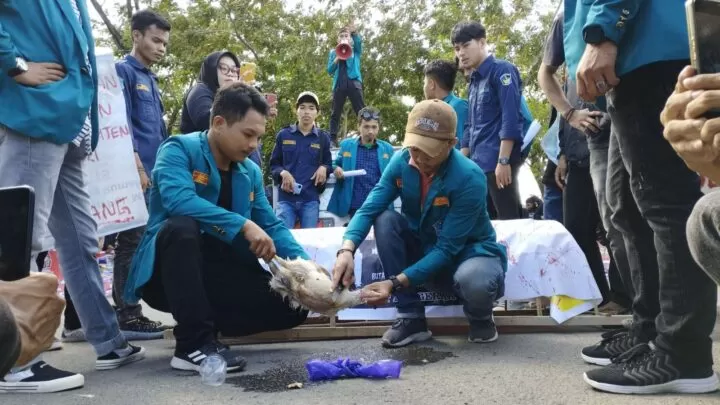 PB HPMT Potong Ayam di Depan Kantor Polisi, Desak Tangkap Penambang Ilegal dan Penimbun BBM Pemkab Jeneponto