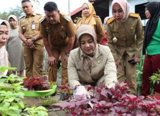 Wawali Makassar Fatmawati Rusdi Pantau Kesiapan Lomba Kelurahan Tingkat Kabupaten Kota 2023