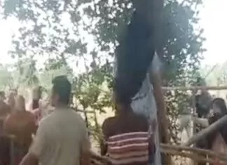 Seorang Perempuan Ditemukan Tergantung di Pohon, Warga Kelara Jeneponto