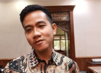 Dibesarkan oleh PDI Perjuangan, Gibran Dinilai seperti Malin Kundang
