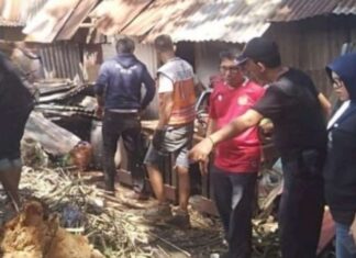 Pohon Timpa Rumah Warga, Anggota DPRD Makassar Muchlis Misbah Langsung Koordinasi dengan DLH