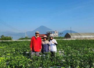 Begini Cara HPSMI Bantu Petani Pasarkan Komoditi dan Perluas Jaringan Pemasaran