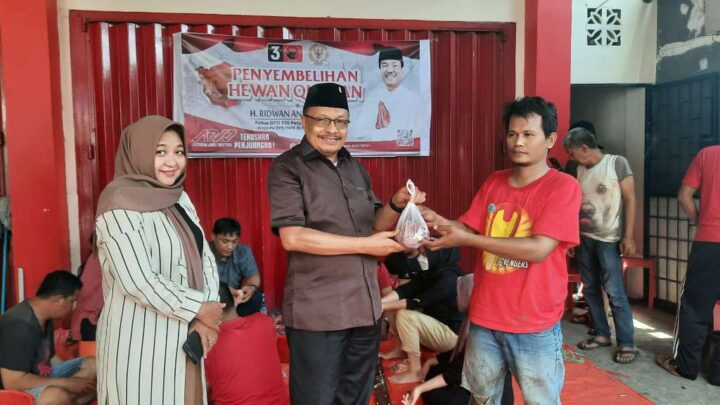 Idul Adha 1444 H, PDIP Sulsel Kurban 161 Sapi dan 13 Kambing idul adha 2023