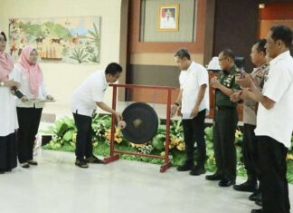 Efektifkan Pengelolaan Arsip, Pemkab Jeneponto Luncurkan Aplikasi SRIKANDI