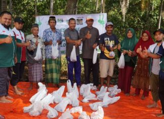pelosok ntt