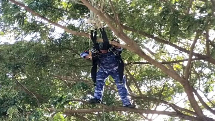 Penerjun Payung TNI Tersangkut di Pohon saat Hari Bhakti Ke-7 TNI-AU Penerjun payung tni