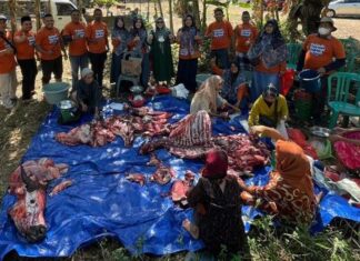 Pelindo Regional 4 Makassar Potong 3 Hewan Kurban dan Bagikan Daging ke Masyarakat