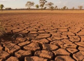 ancaman elnino di indonesia