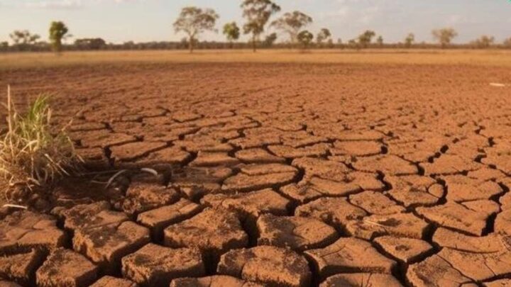 BMKG Ingatkan Masyarakat Waspada Ancaman Elnino Agustus-September 2023: Berpotensi Gagal Panen ancaman elnino di indonesia