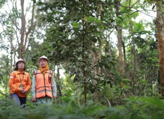 Begini Cara Vale Mereklamasi Lahan Tambang Hingga Dapat PROPER Hijau Tiga Kali Berturut-turut