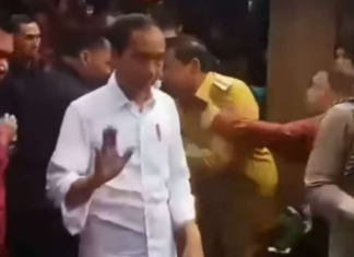 Viral, Bupati Bengkulu Utara Ditarik Paksa Paspampres Saat Dampingi Jokowi