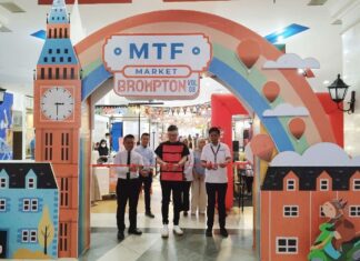 MTF Market Vol 8