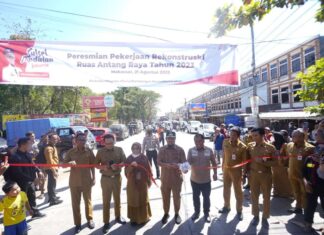 11 Pohon Ditebang Saat Pengerjaan Jalan Antang Raya Makassar, Pemprov Sulsel Ganti 330 Pohon