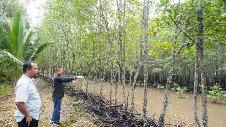 Gubernur Sulsel Kunjungi Hutan Mangrov dan Tanam Bibit di Kepulauan Riau Gubernur Sulsel Andi Sudirman Sulaiman